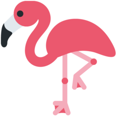 Twitter flamingo