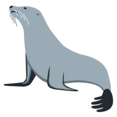 推特 海豹