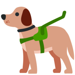 推特 导盲犬