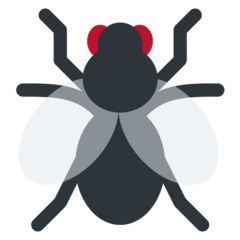Twitter fly