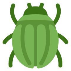 推特 甲虫