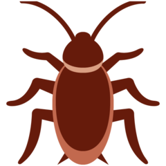 Twitter cockroach