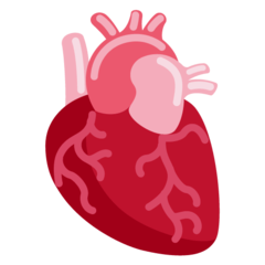 Twitter anatomical heart