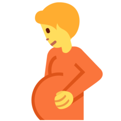 Twitter pregnant person