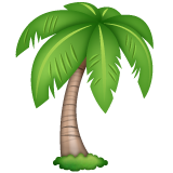 WhatsApp palm tree
