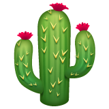WhatsApp cactus
