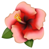 WhatsApp 芙蓉