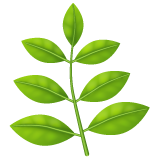 WhatsApp 草本植物