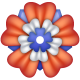 WhatsApp rosette