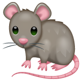 WhatsApp rat