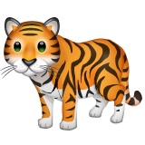 WhatsApp tiger