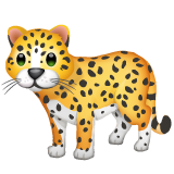 WhatsApp leopard