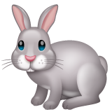 WhatsApp rabbit