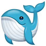 WhatsApp 鲸鱼