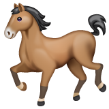 WhatsApp horse