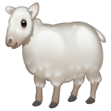 WhatsApp ewe