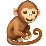WhatsApp monkey