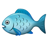 WhatsApp fish