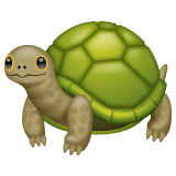 WhatsApp turtle