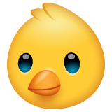 WhatsApp baby chick
