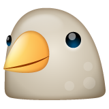 WhatsApp 鸟