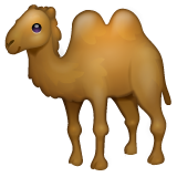 WhatsApp two-hump camel