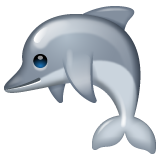 WhatsApp dolphin