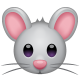 WhatsApp mouse face