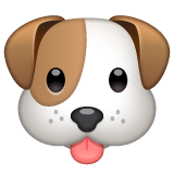 WhatsApp dog face
