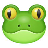 WhatsApp frog