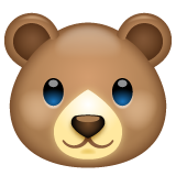 WhatsApp bear