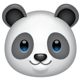 WhatsApp panda