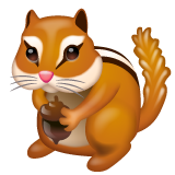 WhatsApp chipmunk