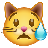 WhatsApp crying cat