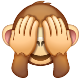 WhatsApp 非礼勿视