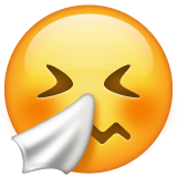 WhatsApp sneezing face