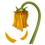 WhatsApp wilted flower