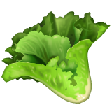 WhatsApp leafy green