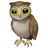 WhatsApp owl