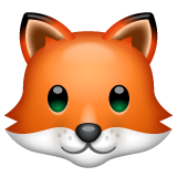WhatsApp fox