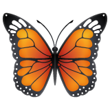 WhatsApp butterfly