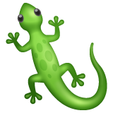WhatsApp lizard