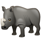 WhatsApp rhinoceros