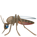 WhatsApp mosquito