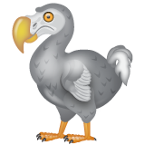 WhatsApp dodo