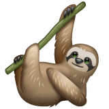 WhatsApp sloth
