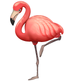 WhatsApp flamingo