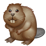 WhatsApp beaver
