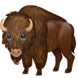 WhatsApp bison