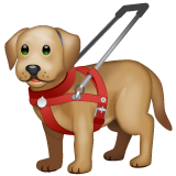 WhatsApp 导盲犬